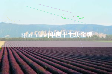 香河中国十七块金牌