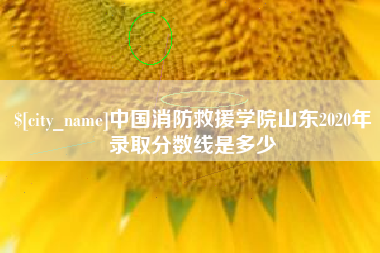香河中国消防救援学院山东2020年录取分数线是多少