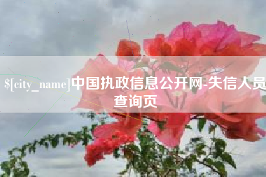 香河中国执政信息公开网-失信人员查询页