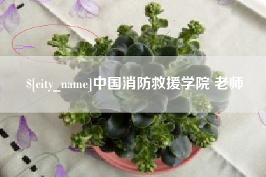 香河中国消防救援学院 老师