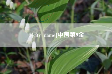 香河中国第9金