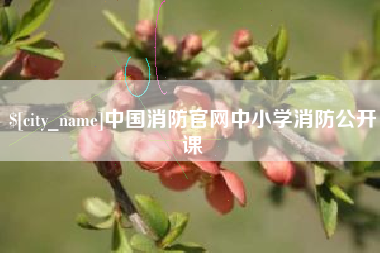 香河中国消防官网中小学消防公开课