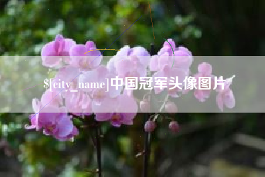 香河中国冠军头像图片