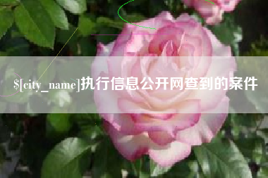 香河执行信息公开网查到的案件