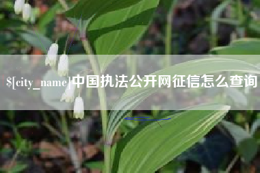 香河中国执法公开网征信怎么查询