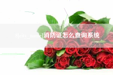 香河消防证怎么查询系统