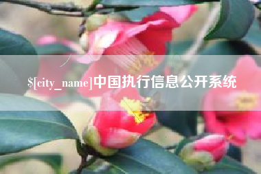香河中国执行信息公开系统