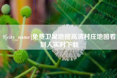 香河免费卫星地图高清村庄地图看到人实时下载