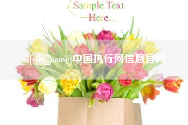 香河中国执行网信息官网