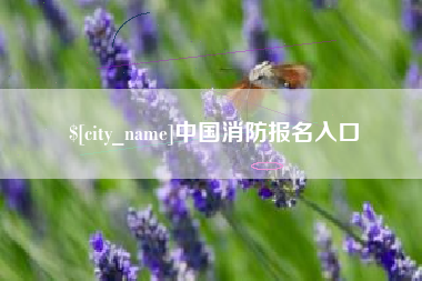 香河中国消防报名入口