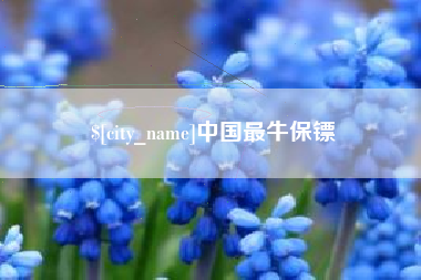 香河中国最牛保镖