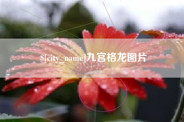 香河九宫格龙图片