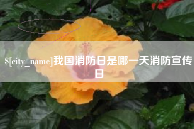 香河我国消防日是哪一天消防宣传日