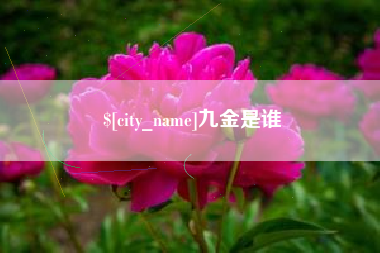 香河九金是谁