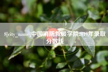 香河中国消防救援学院2019年录取分数线