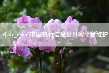 香河中国执行信息公开网平台维护