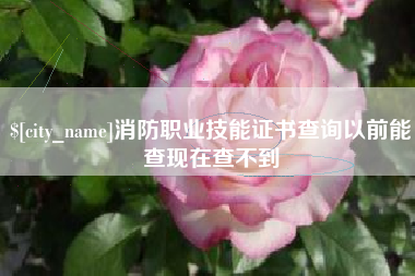 香河消防职业技能证书查询以前能查现在查不到