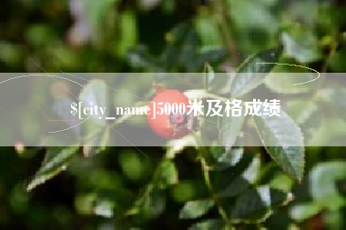 香河5000米及格成绩