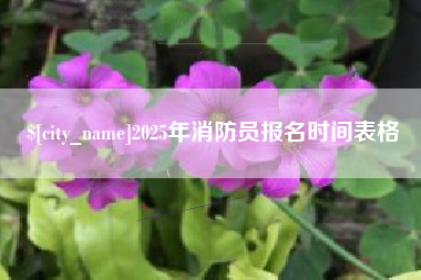 香河2025年消防员报名时间表格
