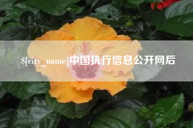 香河中国执行信息公开网后