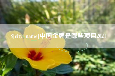 香河中国金牌是哪些项目2021