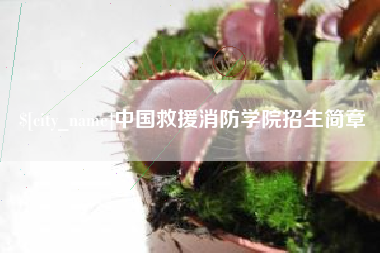 香河中国救援消防学院招生简章
