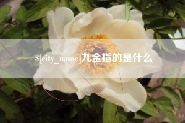 香河九金指的是什么