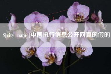 香河中国执行信息公开网真的假的