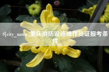 香河重庆消防设施操作员证报考条件
