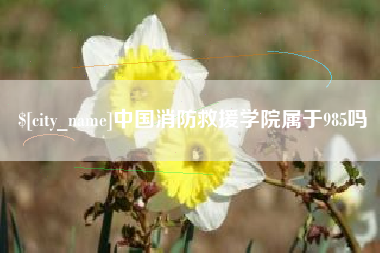 香河中国消防救援学院属于985吗