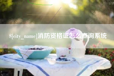 香河消防资格证怎么查询系统