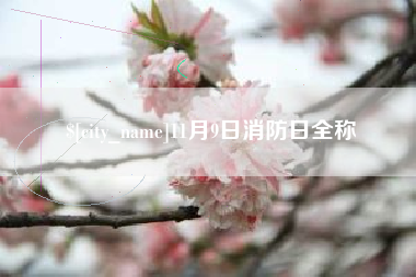 香河11月9日消防日全称