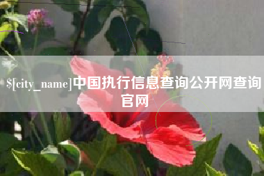 香河中国执行信息查询公开网查询官网
