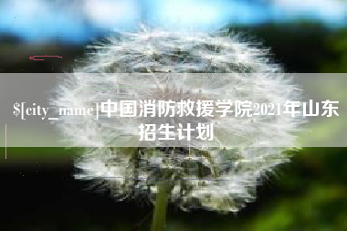 香河中国消防救援学院2021年山东招生计划