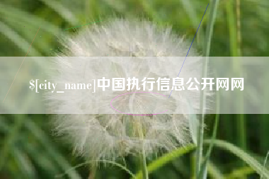 香河中国执行信息公开网网