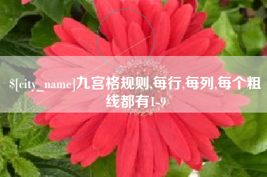 香河九宫格规则,每行,每列,每个粗线都有1-9