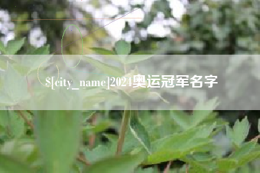 香河2024奥运冠军名字