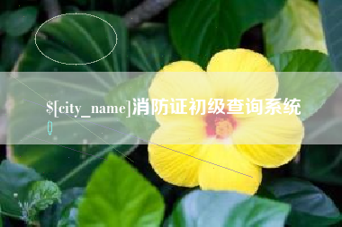 香河消防证初级查询系统