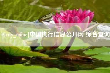 香河中国执行信息公开网 综合查询