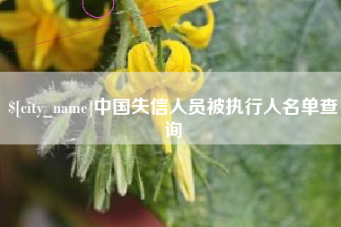香河中国失信人员被执行人名单查询