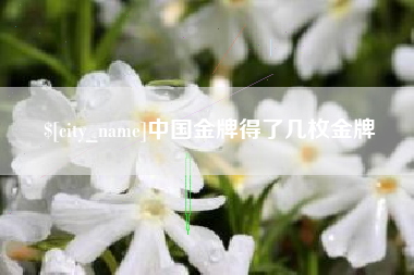 香河中国金牌得了几枚金牌