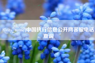 香河中国执行信息公开网客服电话查询