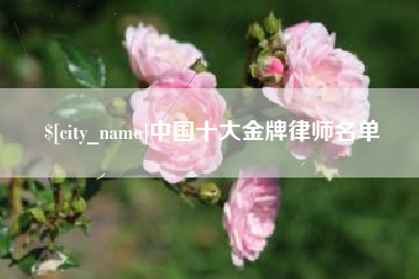 香河中国十大金牌律师名单
