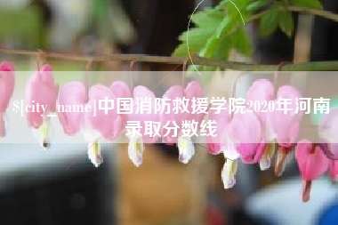 香河中国消防救援学院2020年河南录取分数线