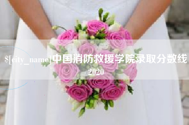 香河中国消防救援学院录取分数线2020
