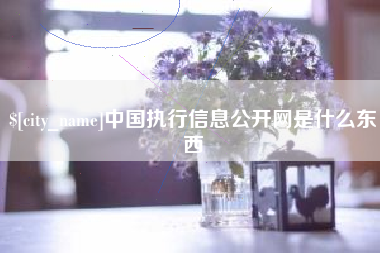香河中国执行信息公开网是什么东西