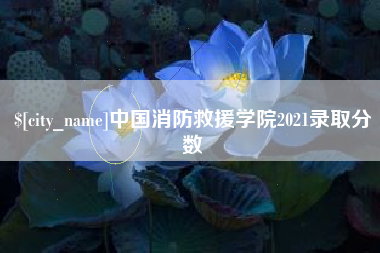 香河中国消防救援学院2021录取分数