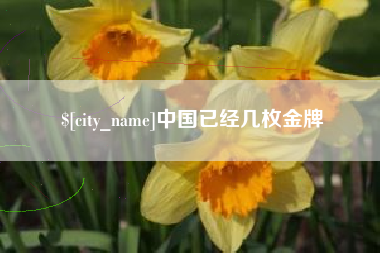 香河中国已经几枚金牌