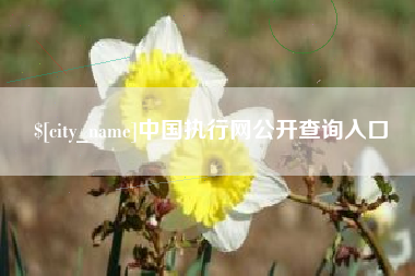 香河中国执行网公开查询入口