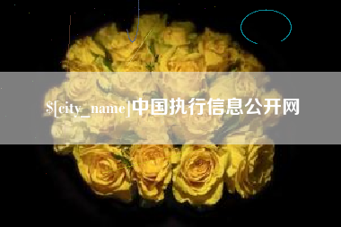香河中国执行信息公开网